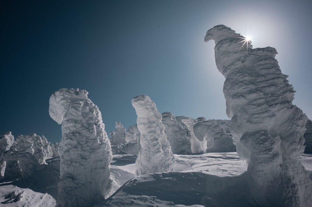 snow, rime on trees, oshirabiso-7826180.jpg